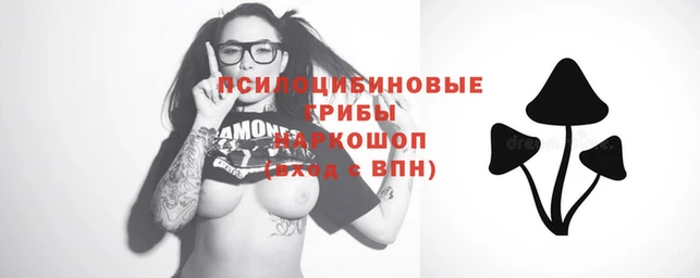 молекула духа Навашино
