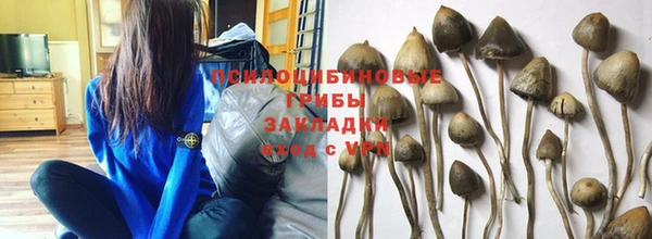 дмт Нефтекумск