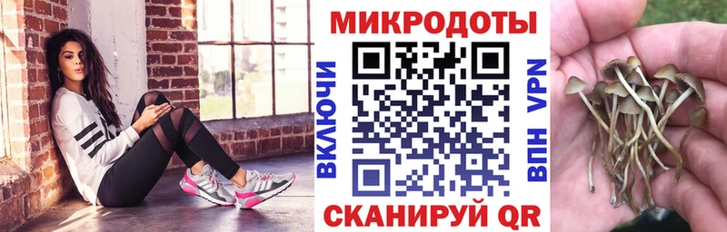 Псилоцибиновые грибы Magic Shrooms  Коммунар 